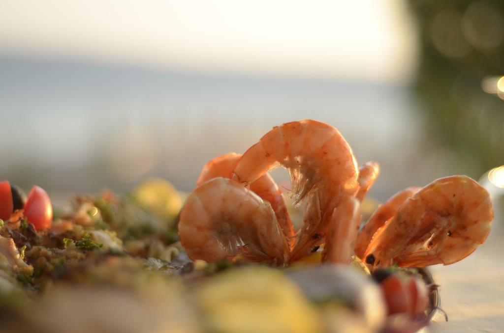 Hotel Garden Vlora Kültér fotó